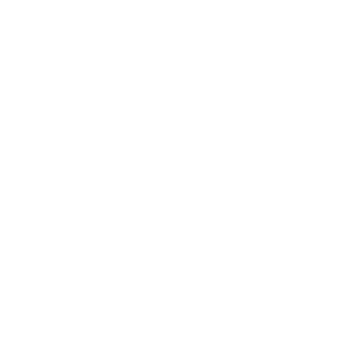 The Paak logo